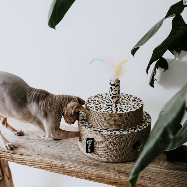 DISTRICT70 Jouet pour chats FIESTA Carton Multicolore