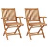 vidaXL Chaises pliantes 2 pi&egrave;ces en bois de teck massif