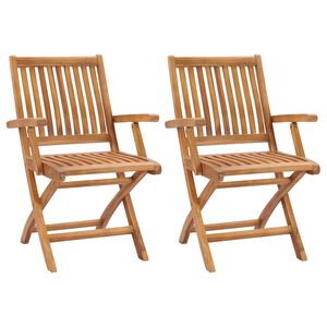 vidaXL Chaises pliantes 2 pi&egrave;ces en bois de teck massif