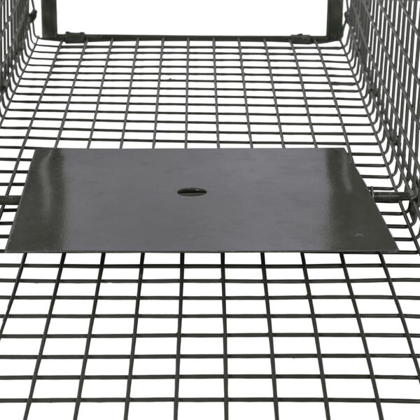 vidaXL Attrape à animaux avec 2 portes