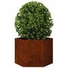 vidaXL Jardini&egrave;re Rouill&eacute; 60x60x45 cm Acier corten
