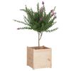 vidaXL Jardini&egrave;res d'ext&eacute;rieur 2 pcs 50x50x50 cm bois de pin massif