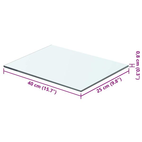 vidaXL Panneau pour étagère Verre transparent 40 x 25 cm