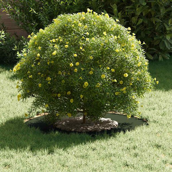 vidaXL adapté pour anneau d'arbre plat Vert olive Ø30 / 60 cm Acier