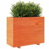 vidaXL Jardini&egrave;re cire marron 90x40x72,5 cm bois de pin massif