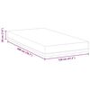vidaXL Matelas Blanc et Bleu 120 x 200 cm Mousse Infus&eacute;e de Gel