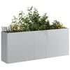 vidaXL Jardini&egrave;re 200x40x80 cm acier galvanis&eacute;