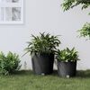 Vignette du produit 2 sur 7