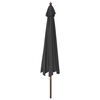 vidaXL Parasol de jardin avec m&acirc;t en bois noir 400x273 cm