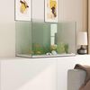 vidaXL Aquarium avec stockage Transparent 60 x 35 x 40 cm Verre