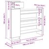 vidaXL Cabinet &agrave; chaussures avec porte Bois ancien 100,5 x 28 x 100 cm