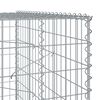vidaXL Panier gabion avec couvercle 250x100x200 cm fer galvanis&eacute;