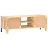 vidaXL Meuble TV 120x30x40 cm Bois de manguier brut