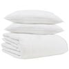 vidaXL Duvet d'hiver avec oreiller 3 pcs Blanc Plume de canard