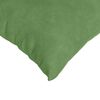 vidaXL Coussins de canapé 2 pcs Vert clair 50 x 50 cm