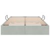 vidaXL Lit de Rangement avec stockage Gris clair 120 x 200 cm Velours