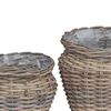 vidaXL Panier de Plante avec stockage 2 pcs Gris Rattan Lacak