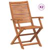 vidaXL Chaises pliantes de jardin avec accoudoir lot de 2