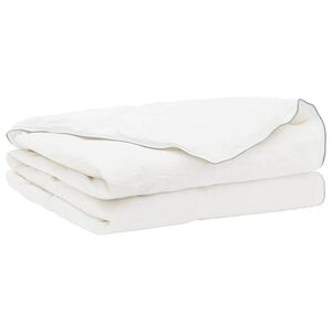 vidaXL Couette FULDA 220 x 240 cm &Eacute;t&eacute; 100 GSM 90% duvet de canard