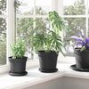 vidaXL Pots de plantes 6 pcs Noir &Oslash; 17 x 14 cm Plastique