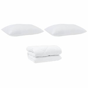 vidaXL Couette avec Oreillers 3 pcs Blanc Microfibre et Plumes D'oie