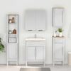 vidaXL Armoire de salle de bain avec tiroir Blanc 35 x 30 x 90 cm