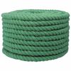 vidaXL Corde en coton 20 mm 100 m Vert 100% Coton