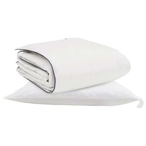 vidaXL Duvet d'hiver avec oreiller 2 pcs Blanc Plume de canard