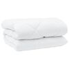 vidaXL Duvet d'hiver avec oreiller 3 pcs Blanc Microfibre