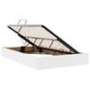 vidaXL Lit avec rangement et matelas Blanc 120 x 190 cm Simili cuir