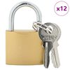 vidaXL U Lock avec Cl&eacute;s 12 pcs Laiton Fer