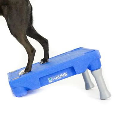 BLUE-9 Plate-forme pour système de dressage de chiens KLIMB Bleu