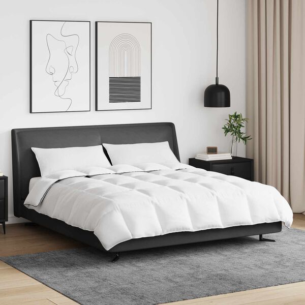 vidaXL Duvet d'hiver avec oreiller 3 pcs Blanc Plume de canard