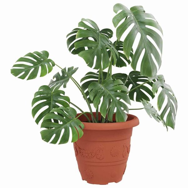 vidaXL Pot &agrave; fleurs rond 6 pcs Rouge brique &Oslash; 26 x 21,5 cm Plastique