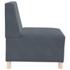 vidaXL Unit&eacute; de Sofa Modulaire Sans Accoudoirs 2 pcs Gris fonc&eacute;