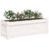 vidaXL Jardini&egrave;res 2 pcs blanc bois de pin massif