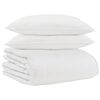 vidaXL Duvet d'hiver avec oreiller 3 pcs Blanc Plume de canard