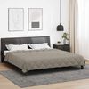 vidaXL Duvet complet toute l'ann&eacute;e Gris clair 200 x 220 cm Microfibre