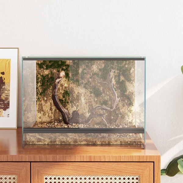 vidaXL Habitats pour reptiles et amphibiens Blanc 40 x 30 x 30 cm