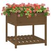 vidaXL Jardini&egrave;re avec &eacute;tag&egrave;re Marron miel 82,5x82,5x81 cm Bois de pin