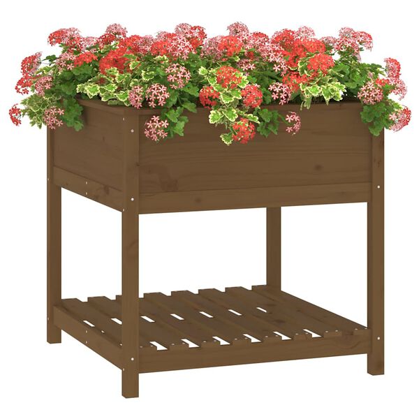 vidaXL Jardini&egrave;re avec &eacute;tag&egrave;re Marron miel 82,5x82,5x81 cm Bois de pin