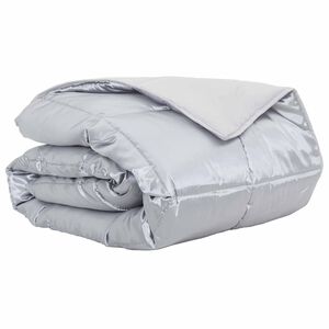 vidaXL Duvet d'&eacute;t&eacute; simple Argent&eacute; 135 x 200 cm Satin et Microfibre
