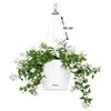 LECHUZA Jardini&egrave;re suspendue NIDO Cottage 28 ALL-IN-ONE Blanc