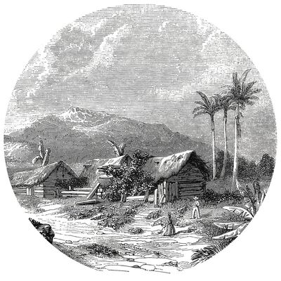 WallArt Papier peint cercle Landscape of Guadeloupe 190 cm
