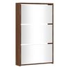 vidaXL Armoire &agrave; chaussures miroir 3niveaux Ch&ecirc;ne marron 63x17x102,5cm
