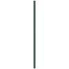 vidaXL Membrane anti-mauvaises herbes vert 4x10 m PP
