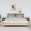 vidaXL Tables de chevet 2 pcs Blanc 40x34x45 cm Bois de pin massif