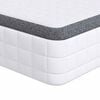 vidaXL Matelas 2 pc Moyennement doux 70 x 190 cm Blanc et Gris