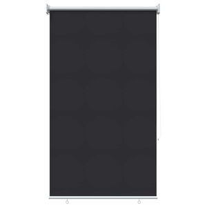 vidaXL Store roulant ext&eacute;rieur protection UV Anthracite 100 x 140 cm