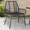 vidaXL Chaises de jardin lot de 2 Noir Résine tressée